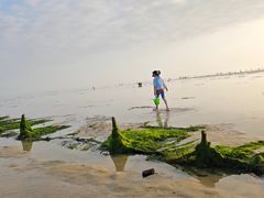 -北海金海湾红树林生态旅游区