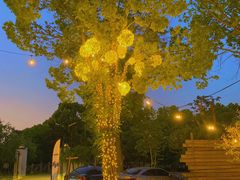 -不觉晓CAMPING(上海迪士尼营地店)