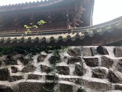 -鸡鸣赐茶(鸡鸣寺路店)