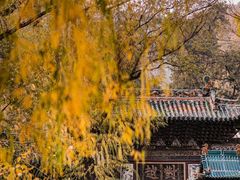-晋祠公园