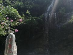 -少华山国家森林公园