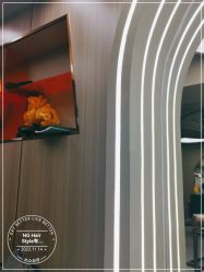 -潮品 Hair无痕羽毛接发潮店