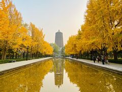 -玲珑塔公园
