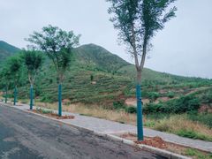 -富平县金粟山森林公园