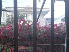 -怡得饭庄·宋大妈昆明菜(海埂店)