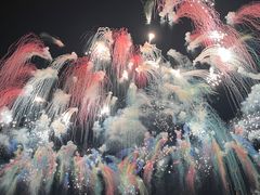 -南宁花花大世界景区