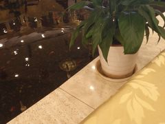 -碧中海汤泉汗蒸酒店