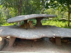 -北京野生动物园