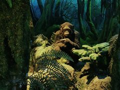 -国家自然博物馆