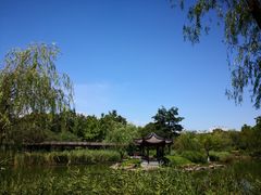 -日出青木·杭帮菜名店