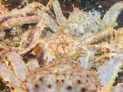 -海鲜e族(马王堆店)