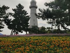 -悦海公园
