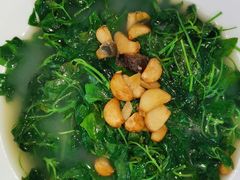 -顺德了能馆(虎门店)