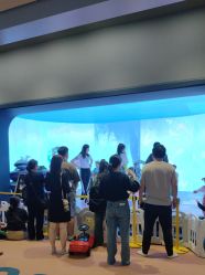 点击看大图 -超级奈尔宝SUPER NEOBIO(杭州星光店)