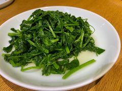 清炒豌豆尖-一坐一忘云南菜(三里屯店)