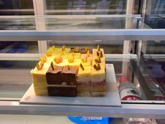 -维尔纳斯·生日蛋糕动物奶油冰淇淋蛋糕(人大店)