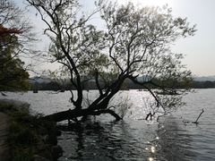 -浙江西子宾馆·瑶园咖啡厅