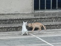 -郑和公园