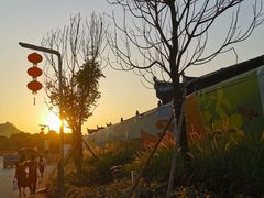 -光明小镇欢乐田园