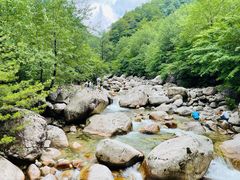 -青峰峡国家森林公园