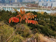 -狮子山(地铁站)
