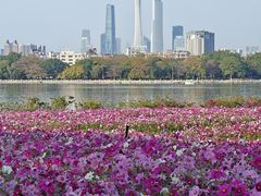 -海珠湖公园