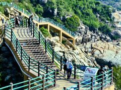 -广东惠东海龟国家级自然保护区