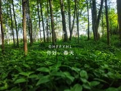 -桤木河湿地公园