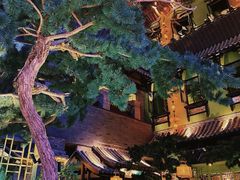 -桂满陇天书(南京德基旗舰店)