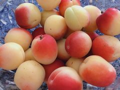 -果蔬好生活超市(乐堤港店)