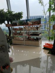 -IMON·HANSA潮玩玩偶毛绒玩具(通州万象汇店)