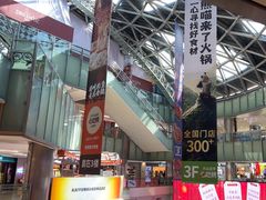 -鹏欣水游城