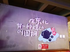 -挂雪铁锅炖大鹅