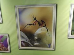 -上海昆虫博物馆