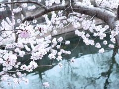 -安定门(地铁站)