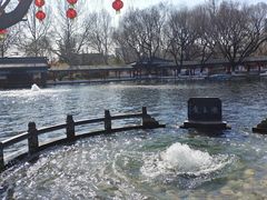 -百脉泉景区