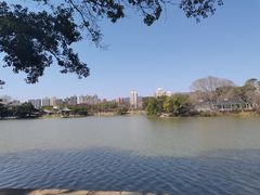-江心屿景区