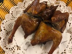 -百利鸽王(紫薇路店)