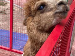 -水上乐园·欢乐世界