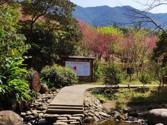 -福清灵石山国家森林公园