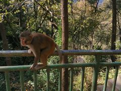 -黔灵山公园
