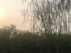 -白鹭湾湿地公园