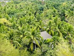 -海南清水湾莱佛士酒店