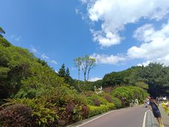 -金鸡山公园