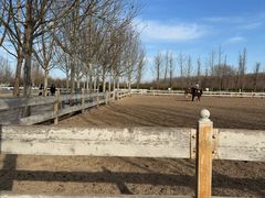 -北京群众马术培训基地