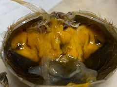 -黄记大闸蟹专卖店·活蟹·醉蟹