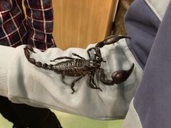 -藦茜花园宠物主题亲子互动体验馆(国顺东路店)