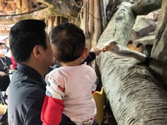 -长鹿旅游休博园