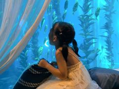 -南昌融创海世界