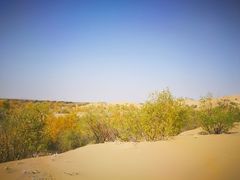 -亿利库布其七星湖沙漠生态旅游区